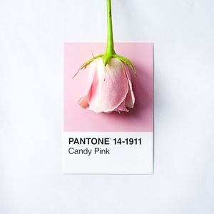 Disclaimer! PLEASE READ